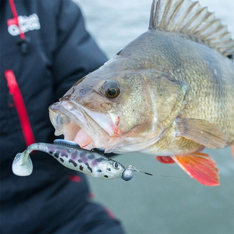 Berkley Flex Round Heads